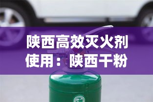 陕西高效灭火剂使用:陕西干粉灭火器