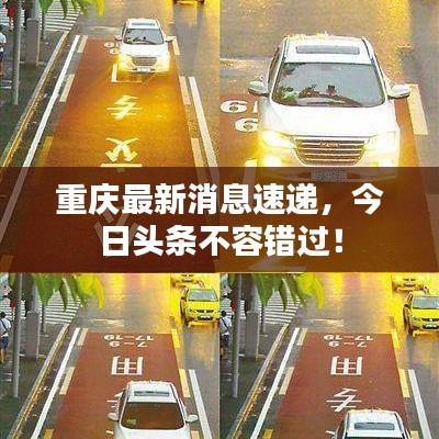 重庆最新消息速递,今日头条不容错过!