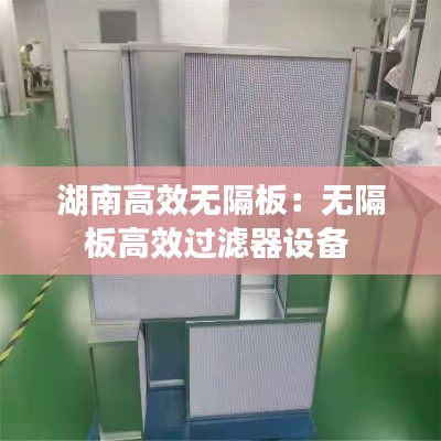 湖南高效无隔板:无隔板高效过滤器设备