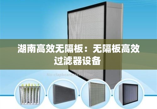 湖南高效无隔板:无隔板高效过滤器设备