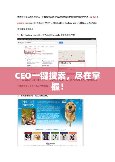 CEO一键搜索,尽在掌握!