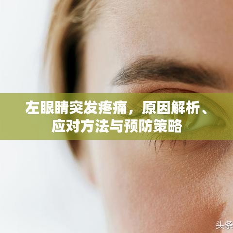 左眼睛突发疼痛,原因解析、应对方法与预防策略