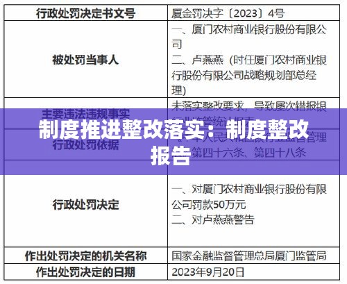 制度推进整改落实:制度整改报告