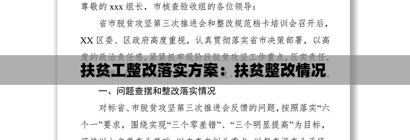 扶贫工整改落实方案:扶贫整改情况