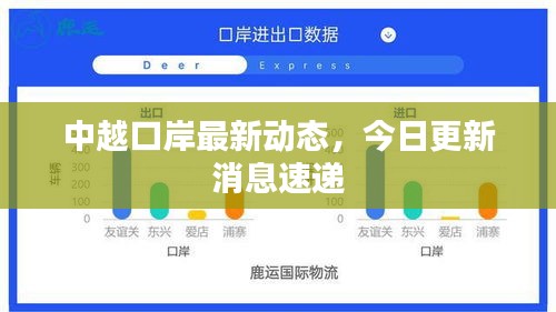 中越口岸最新动态,今日更新消息速递