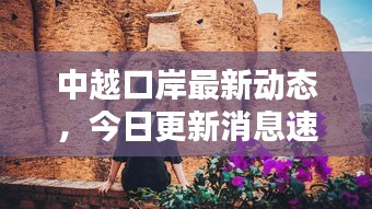 中越口岸最新动态,今日更新消息速递