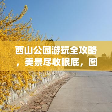 西山公园游玩全攻略,美景尽收眼底,图片分享不容错过
