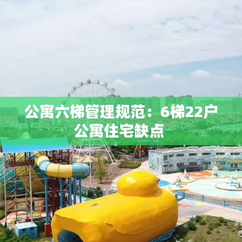 公寓六梯管理规范:6梯22户公寓住宅缺点