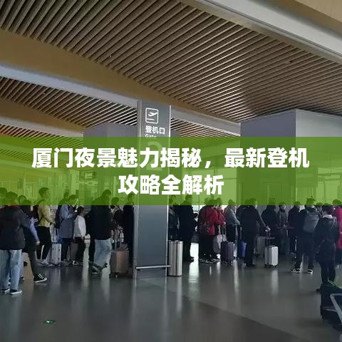 纲举目张 第4页