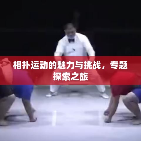 相扑运动的魅力与挑战,专题探索之旅
