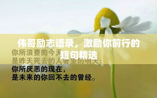 伟哥励志语录,激励你前行的短句精选