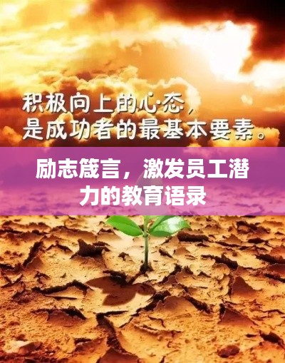 励志箴言,激发员工潜力的教育语录