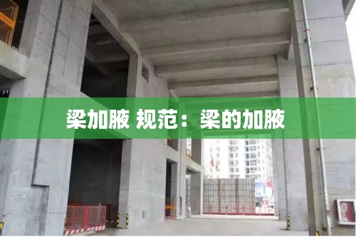 梁加腋 规范：梁的加腋 