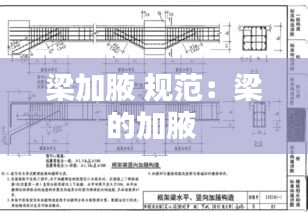 梁加腋 规范:梁的加腋