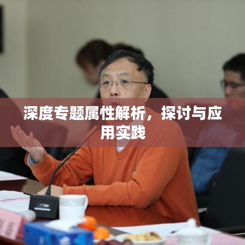 深度专题属性解析,探讨与应用实践