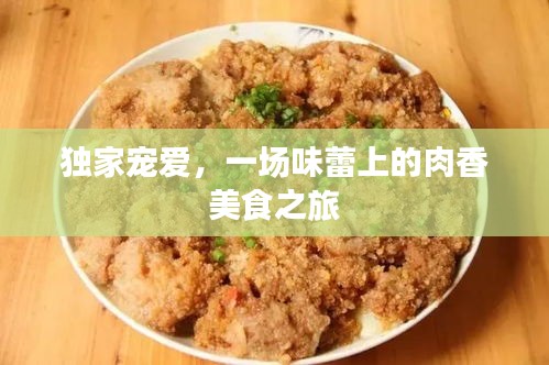 独家宠爱，一场味蕾上的肉香美食之旅
