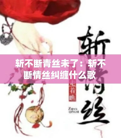 法不阿贵 第4页