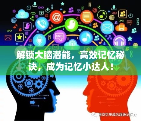 解锁大脑潜能,高效记忆秘诀,成为记忆小达人!