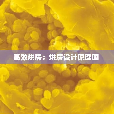 高效烘房：烘房设计原理图 