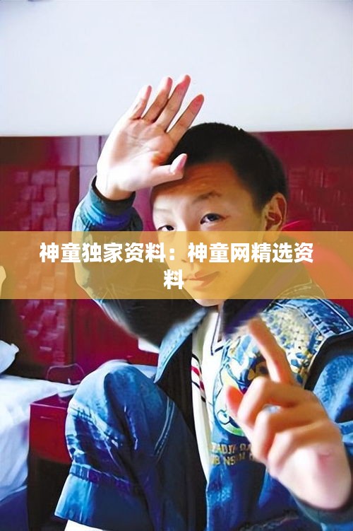 神童独家资料:神童网精选资料