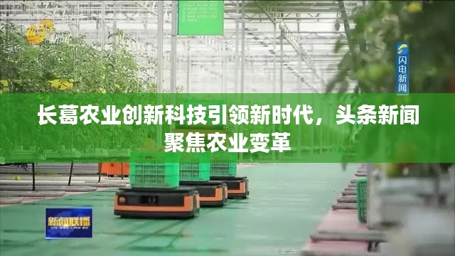 长葛农业创新科技引领新时代,头条新闻聚焦农业变革