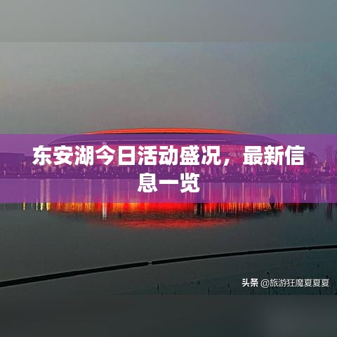 东安湖今日活动盛况,最新信息一览