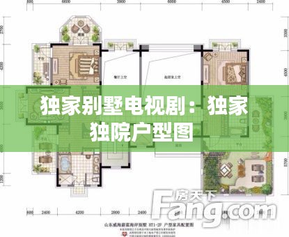 独家别墅电视剧:独家独院户型图
