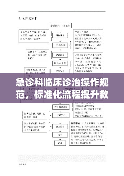 急诊科临床诊治操作规范,标准化流程提升救治效率