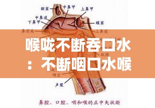 喉咙不断吞口水:不断咽口水喉咙不舒服