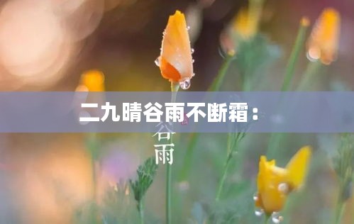 二九晴谷雨不断霜： 