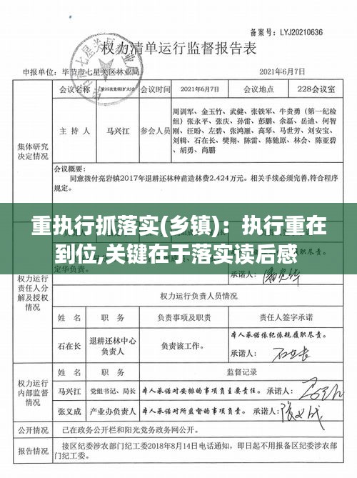 重执行抓落实(乡镇)：执行重在到位,关键在于落实读后感 