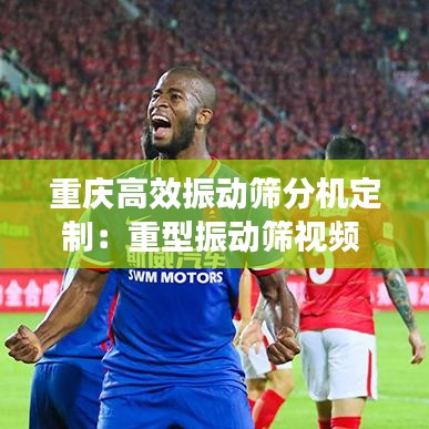 重庆高效振动筛分机定制:重型振动筛视频