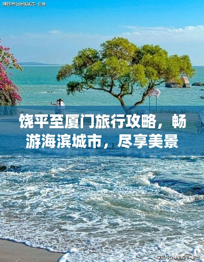 荣华富贵 第3页