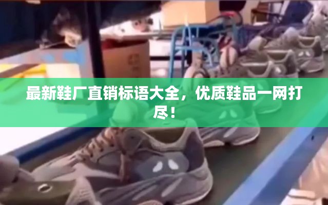 最新鞋厂直销标语大全，优质鞋品一网打尽！