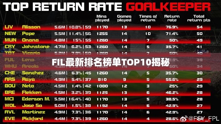 FIL最新排名榜单TOP10揭秘
