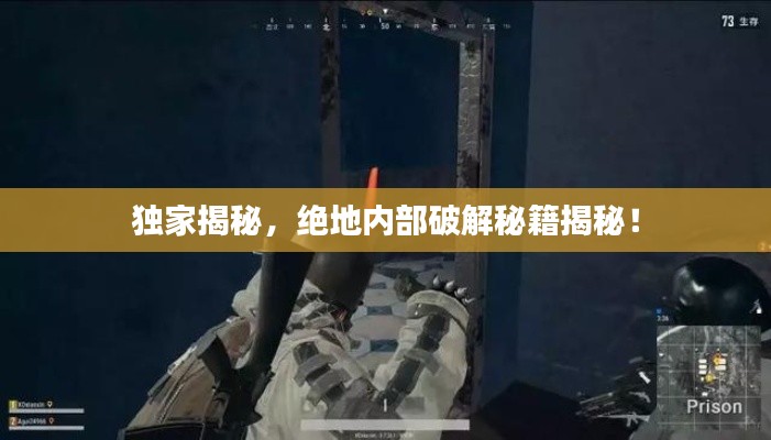 独家揭秘,绝地内部破解秘籍揭秘!