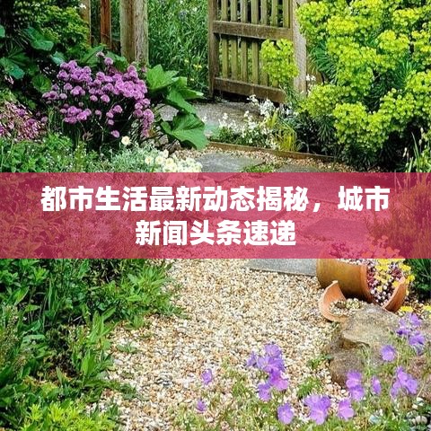 都市生活最新动态揭秘,城市新闻头条速递