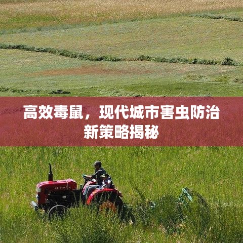 环肥燕瘦 第3页