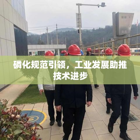 磷化规范引领，工业发展助推技术进步