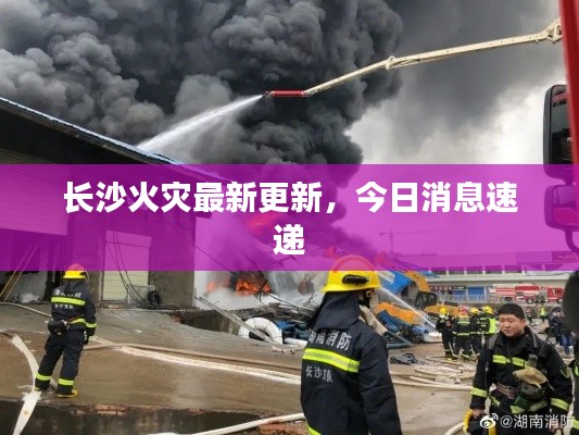 长沙火灾最新更新,今日消息速递