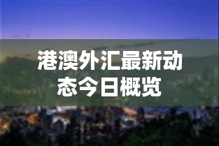 港澳外汇最新动态今日概览