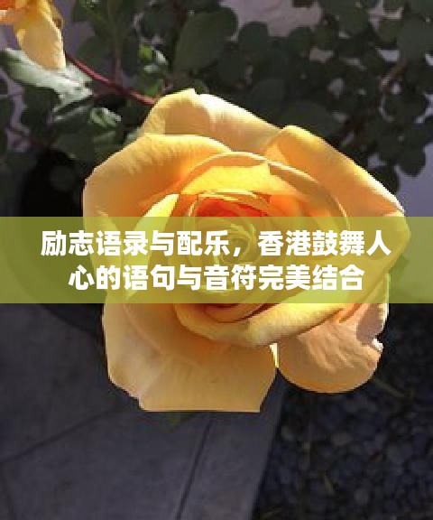 励志语录与配乐，香港鼓舞人心的语句与音符完美结合