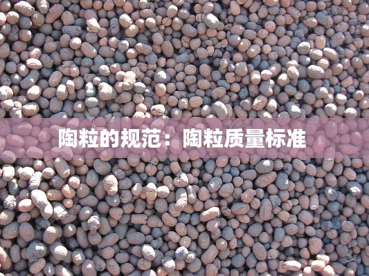 夯雀儿先飞 第3页