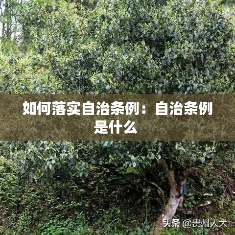 如何落实自治条例：自治条例是什么 
