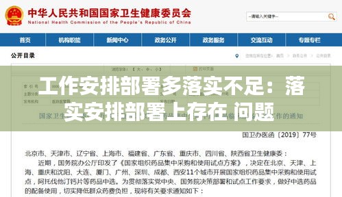 工作安排部署多落实不足:落实安排部署上存在 问题