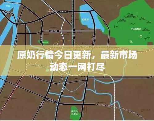 原奶行情今日更新,最新市场动态一网打尽