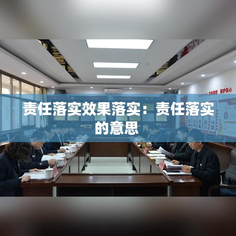 责任落实效果落实:责任落实的意思