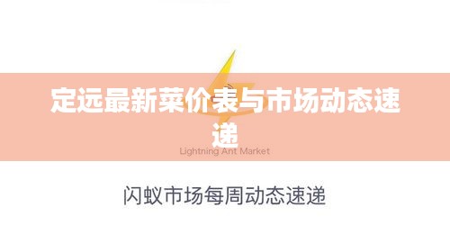 定远最新菜价表与市场动态速递