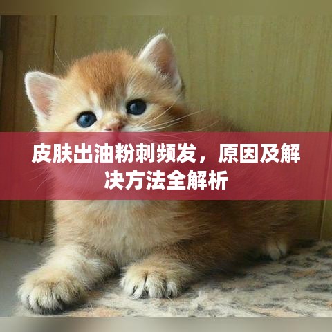 皮肤出油粉刺频发,原因及解决方法全解析