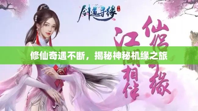 修仙奇遇不断,揭秘神秘机缘之旅